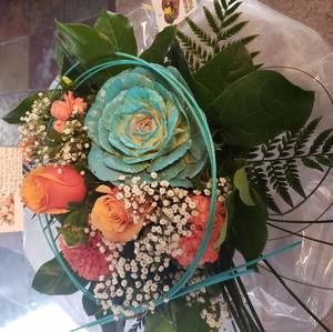 Meet your Posher, Erna